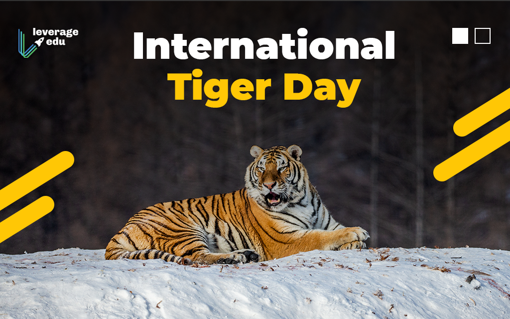 What Is International Tiger Day? post thumbnail image